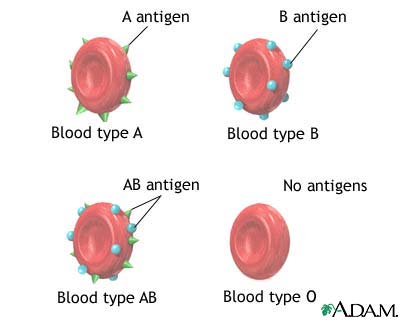 blood type ab
