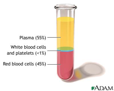 blood plasma images